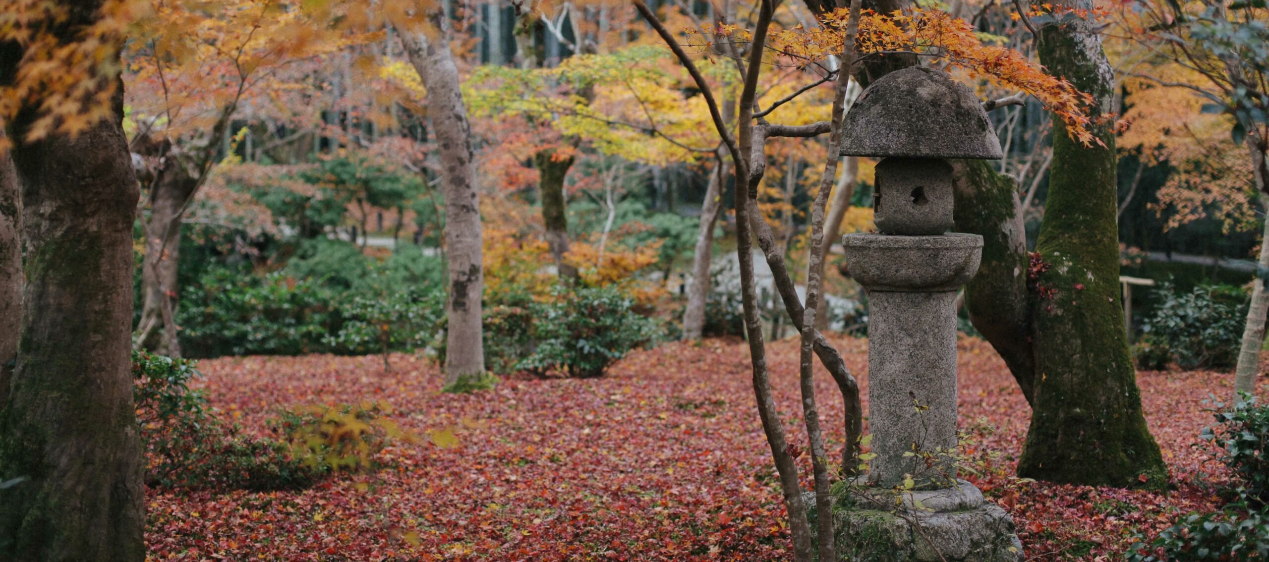 🍁 엔메이 절(엔묘지) 이미지 8